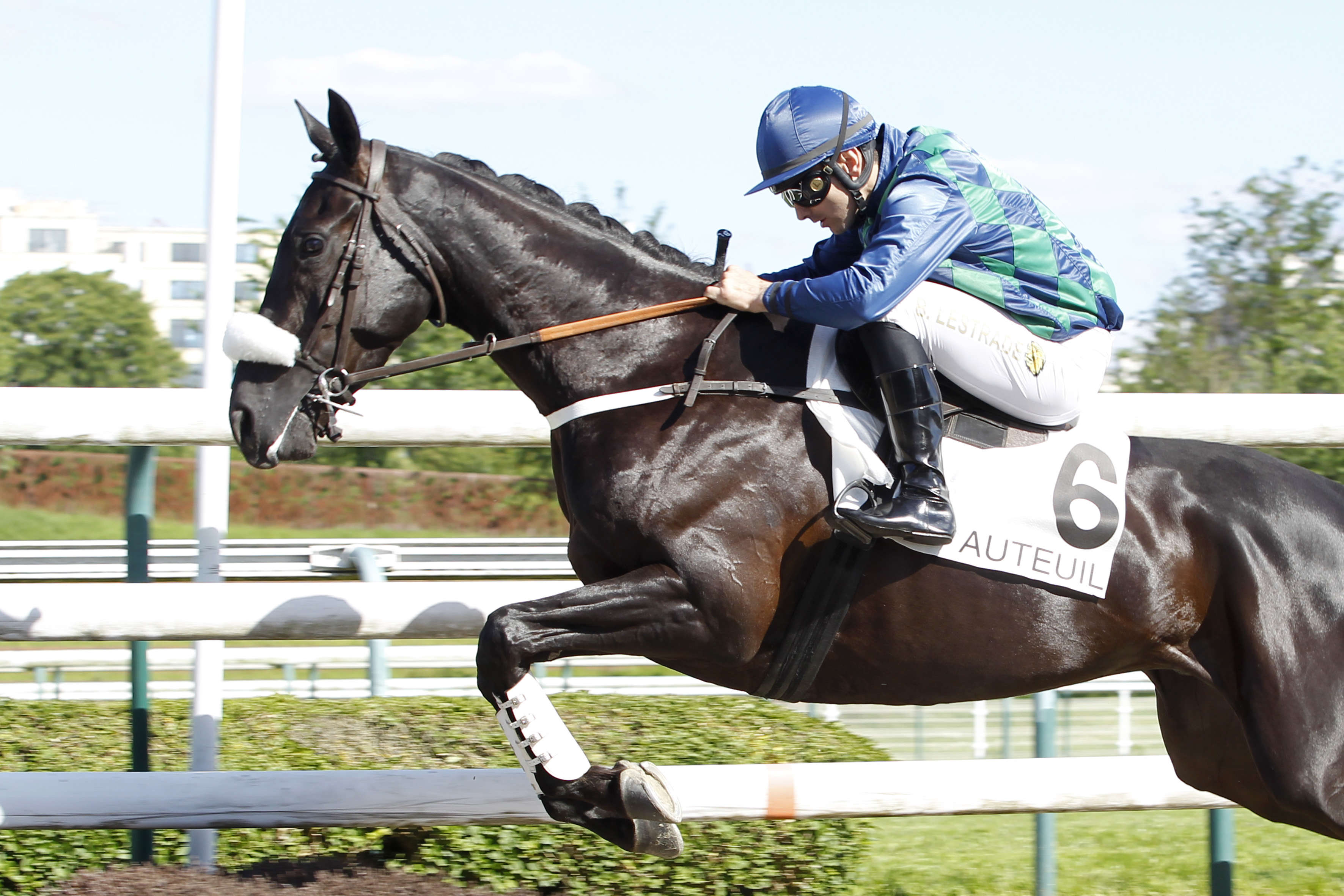 Prix Karcimont, Darling des Bordes sur l'hippodrome d'Auteuil