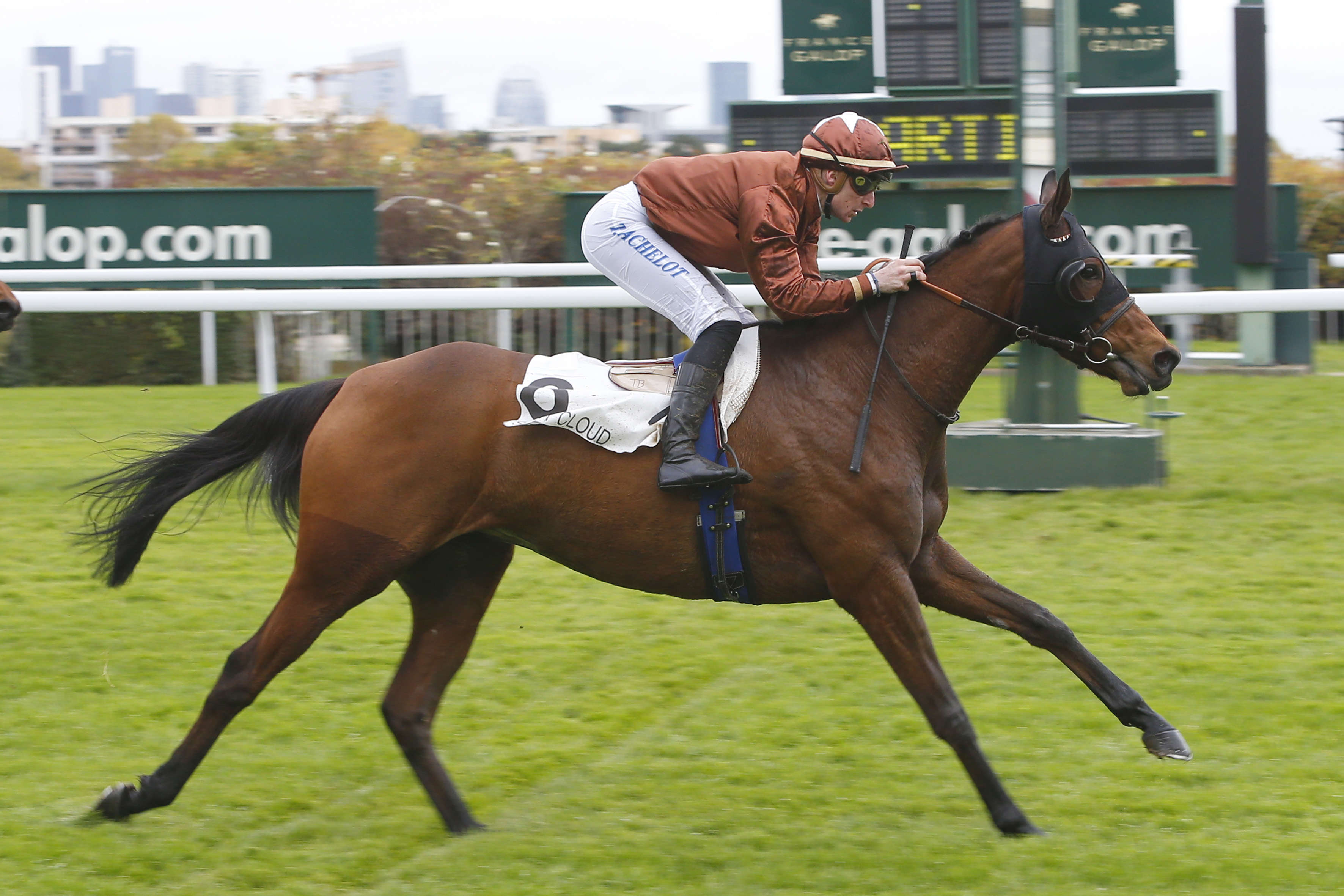 Prix de la Comédie Française, My Charming Prince à l'hippodrome de Longchamp