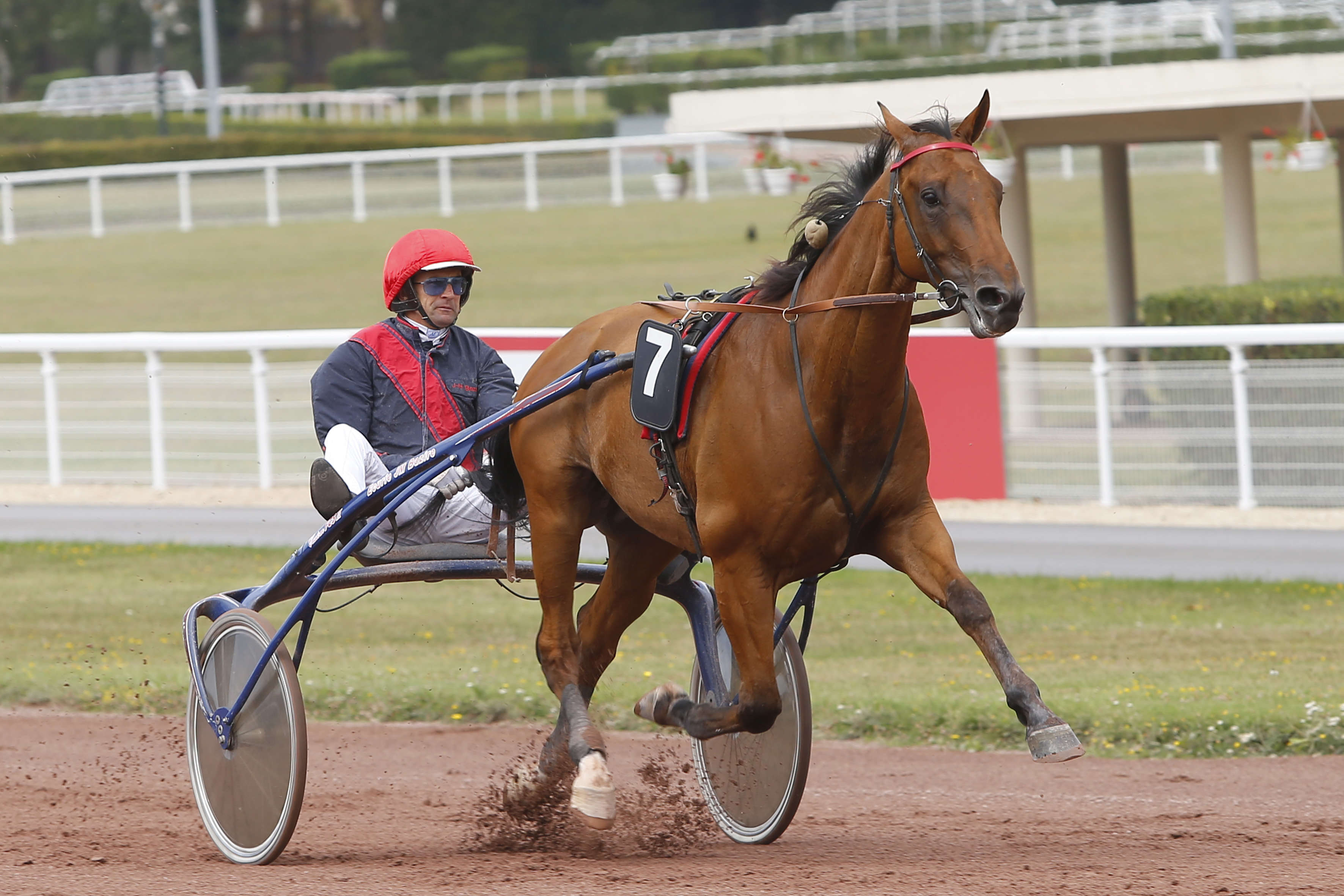 Prix de la Chaise Dieu, Farrell Seven sur l'hippodrome de Vichy